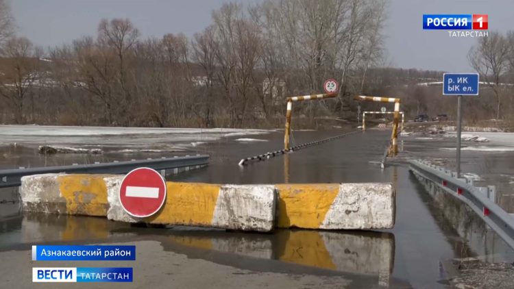 В Казани появятся 1564 стоянки для электросамокатов