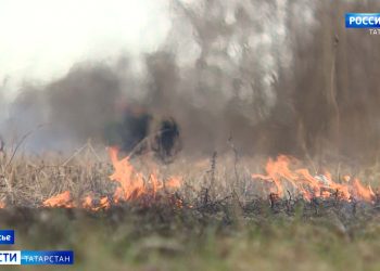 В Татарстане из-за аномальной жары объявили штормовое предупреждение