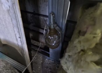 Заминированный схрон с западным оружием и боеприпасами найден в ДНР