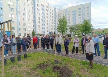Жители Нижнекамска высадили деревья в память о бойцах СВО