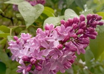 Татарстан дулкынында (19.05.24)