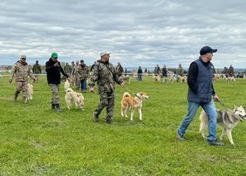 В Тетюшах стартовала Всероссийская выставка лаек