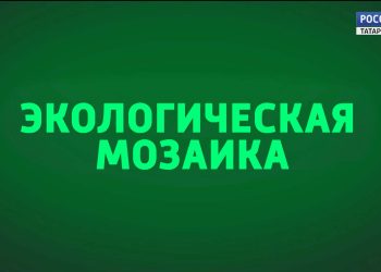 Экологическая мозаика (21.05.24)