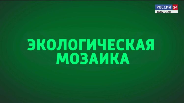 Экологическая мозаика (21.05.24)