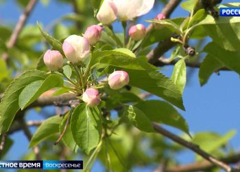 Минниханов: «Священный долг нашего поколения – сохранить историческую правду»