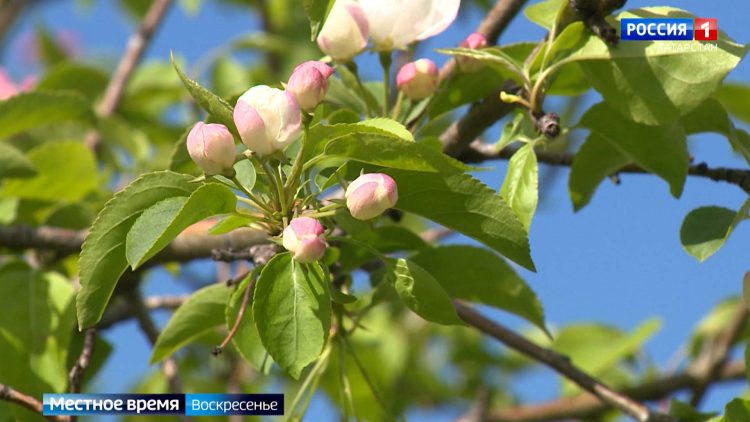 Минниханов: «Священный долг нашего поколения – сохранить историческую правду»