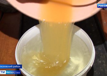 Даже домашний скот отказывается: жители села Шама жалуются на отсутствие питьевой воды