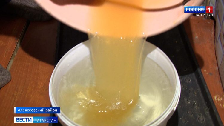 Даже домашний скот отказывается: жители села Шама жалуются на отсутствие питьевой воды