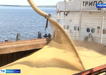Татарстан увеличивает объемы поставок зерна за рубеж