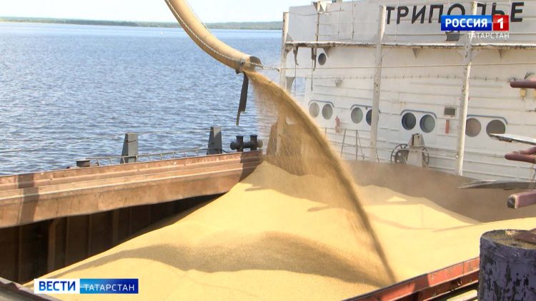Татарстан увеличивает объемы поставок зерна за рубеж