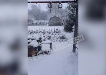 В некоторых районах Татарстана выпал снег