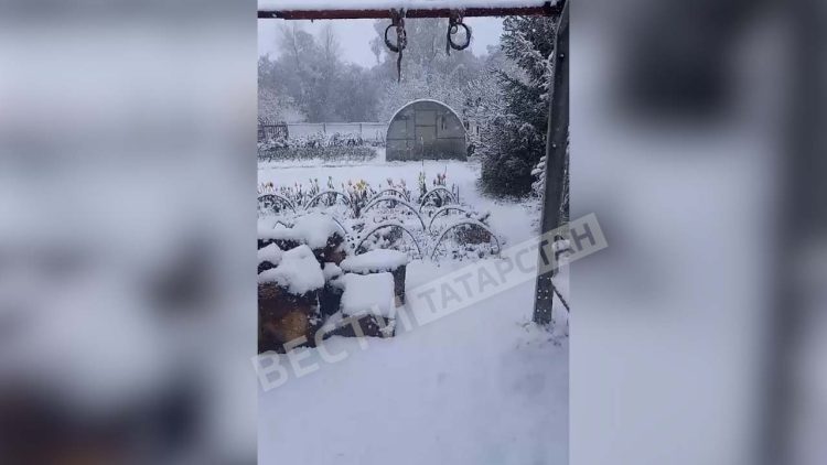 В некоторых районах Татарстана выпал снег