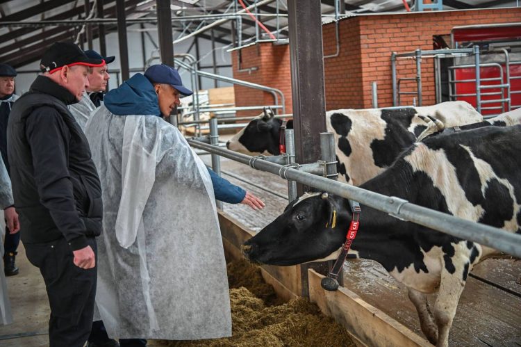 Минниханов посетил роботизированную ферму в Рыбно-Слободском районе