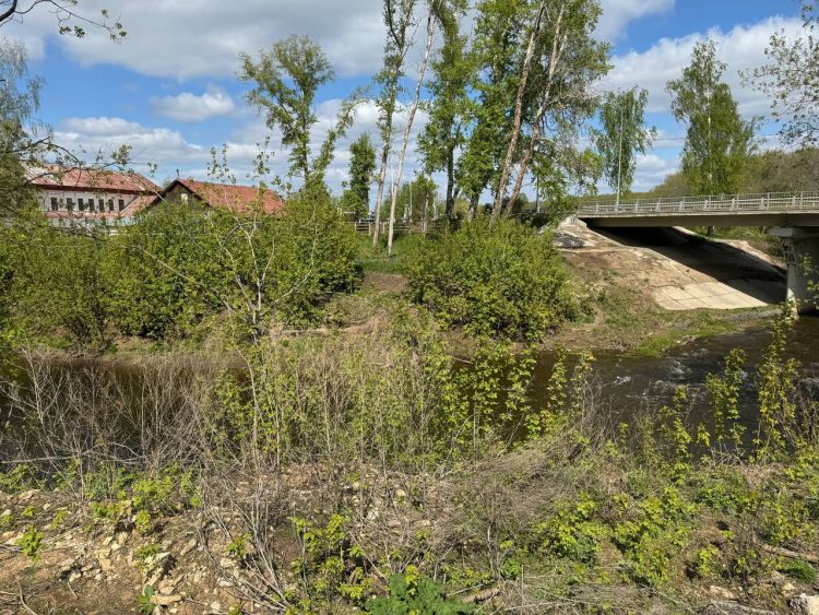 В Менделеевске установят пешеходный мост через Тойму