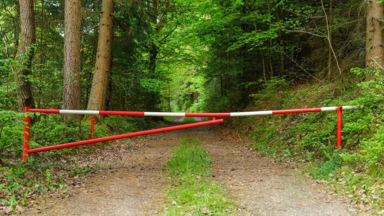 В Татарстане ввели временное ограничение на посещение лесов