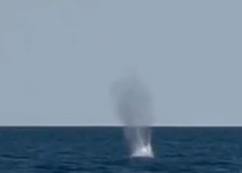 В Одессе возле купающихся людей произошел взрыв