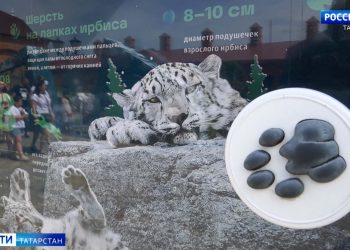 В ОЭЗ «Иннополис» дали старт работе нового Дата-центра