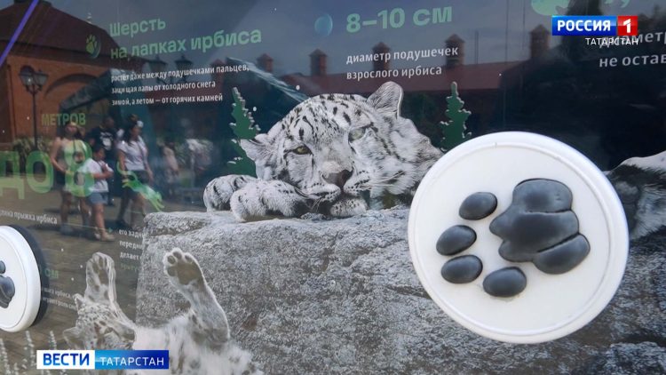 В ОЭЗ «Иннополис» дали старт работе нового Дата-центра