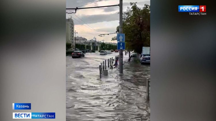 В Казани восемь человек находятся в реанимации после отравления салатом