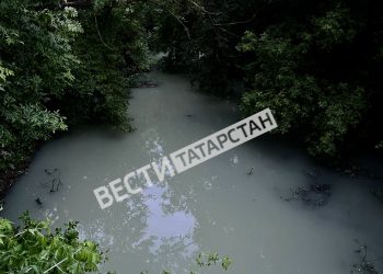 В Арском районе зафиксирован массовый мор рыбы
