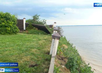 В Арском районе зафиксирована массовая гибель рыбы