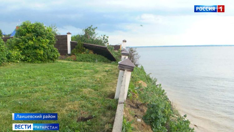 В Арском районе зафиксирована массовая гибель рыбы