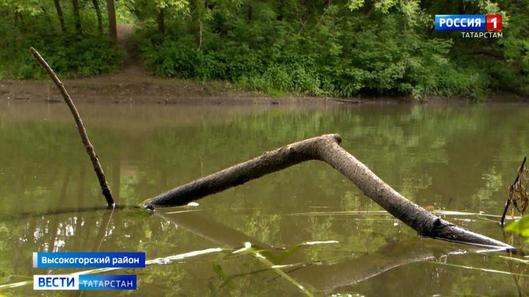 Тридцать километров Казанки очистят от мусорных заторов