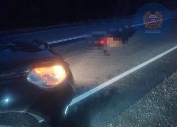 В Елабужском районе водитель иномарки насмерть сбил мужчину