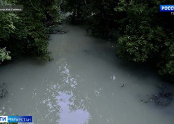 В Арском районе зафиксирована массовая гибель рыбы