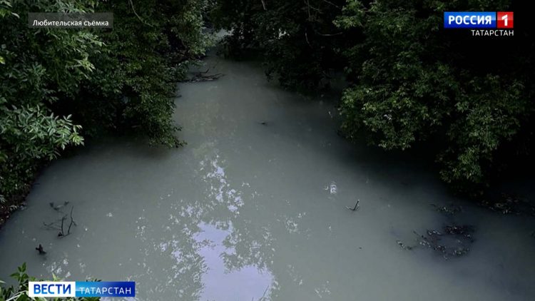 В Арском районе зафиксирована массовая гибель рыбы