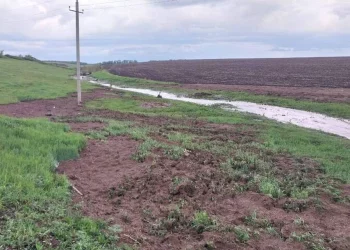 В Бугульминском районе из-за ливня подтопило село