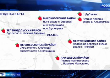 Жители села в Камско-Устьинском районе просят восстановить заросшую травой детскую площадку