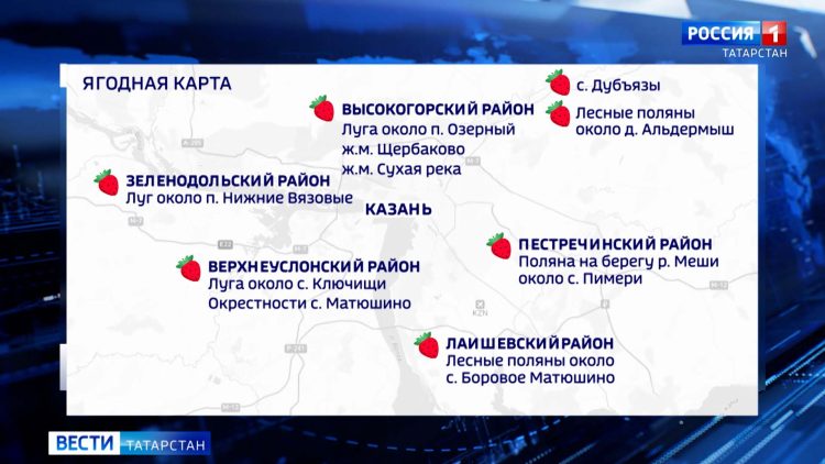 Жители села в Камско-Устьинском районе просят восстановить заросшую травой детскую площадку