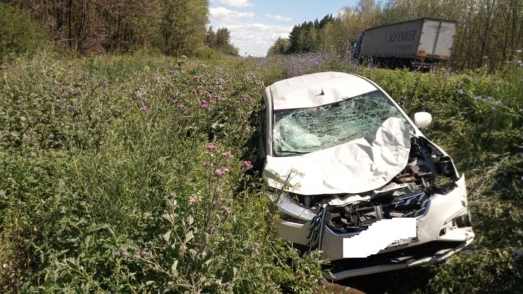 На дорогах Татарстана насмерть сбили двух лосей и косулю