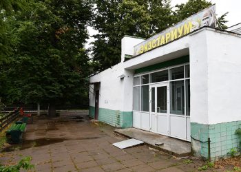 В казанском зооботсаду появились австралийские палочники