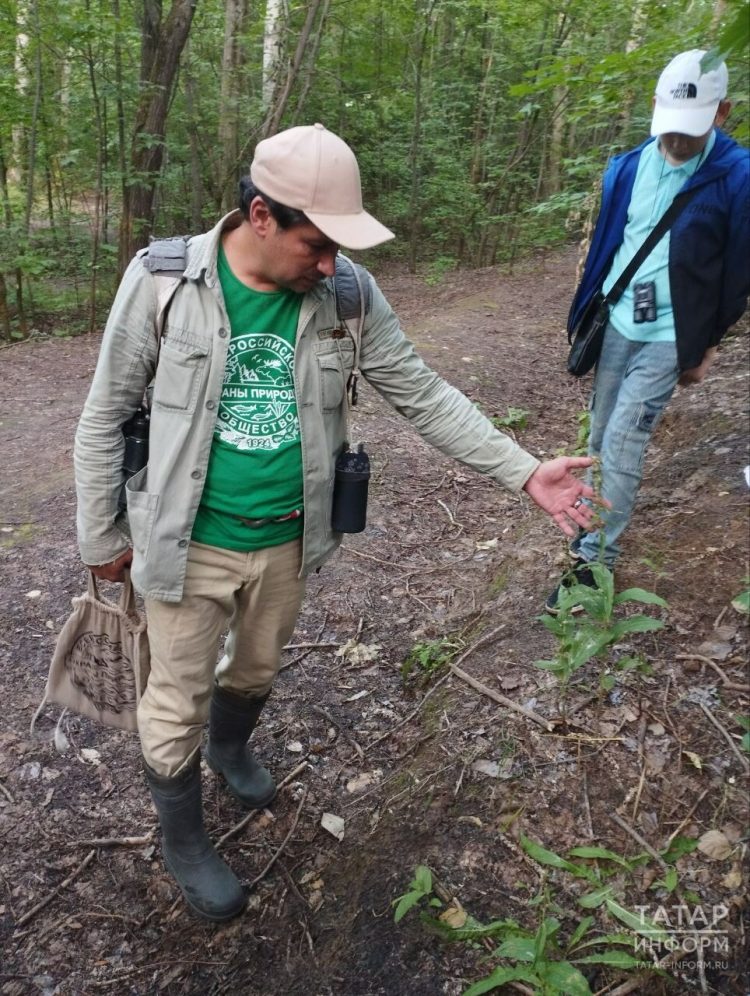 В Казани из-за аномальной жары погибли краснокнижные растения