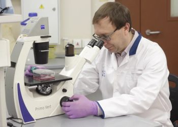 Эксперт КФУ оценил угрозу лихорадки Западного Нила для Татарстана