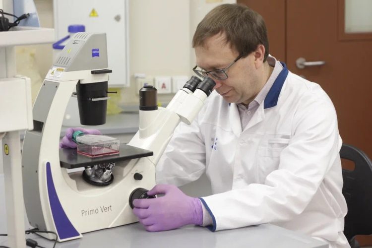 Эксперт КФУ оценил угрозу лихорадки Западного Нила для Татарстана