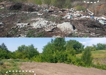 В Кайбицком районе ликвидировали крупную свалку