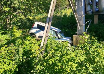 В Нижнекамске легковушка сбила лося и слетела с дороги