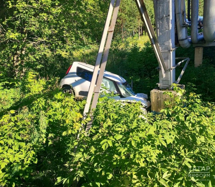 В Нижнекамске легковушка сбила лося и слетела с дороги