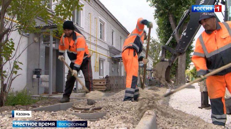 Ферма по разведению верблюдов, черный чеснок и улитки: чем готовы удивлять татарстанцы