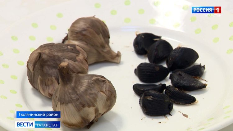 Бастрыкин поручил разобраться в истории с массовой дракой в Челнах