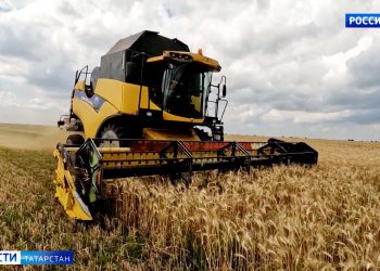 В 27 районах Татарстана приступили к уборке урожая зерновых