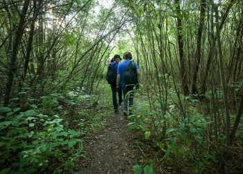 Казанцам расскажут о птицах на экскурсии в Русско-Немецкой Швейцарии