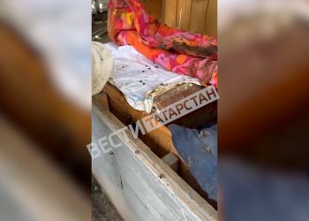 В Мензелинском районе зафиксировали массовый мор пчел