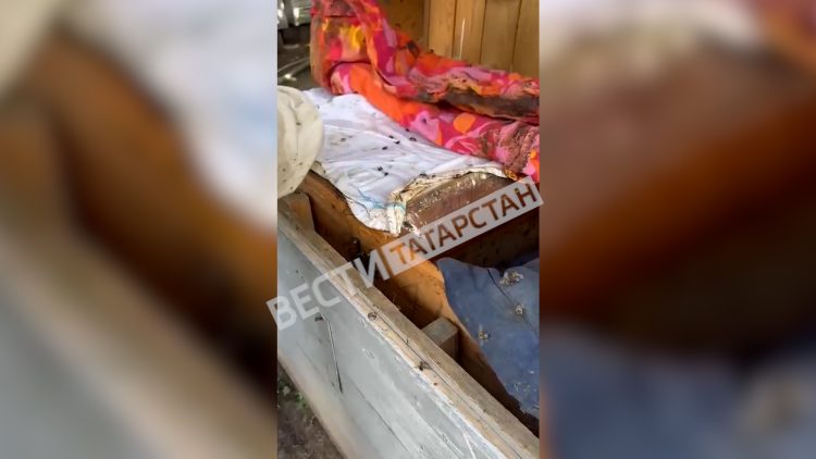 В Мензелинском районе зафиксировали массовый мор пчел