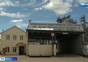 В Татарстане завершается подготовка хлебоприемных предприятиях