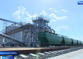 В Татарстан завезли краснокнижных соколов-балобанов