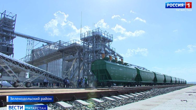 В Татарстан завезли краснокнижных соколов-балобанов